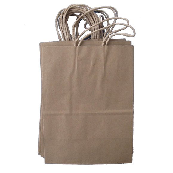 Natural Kraft Paper Bags | set of 13 bags |  | Size: 8" x 4.75" x 10.5" - Picture 1 of 5
